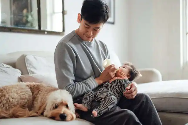 Многие собаки болезненно воспринимают пополнение семьи и испытывают недостаток прежнего внимания от хозяина