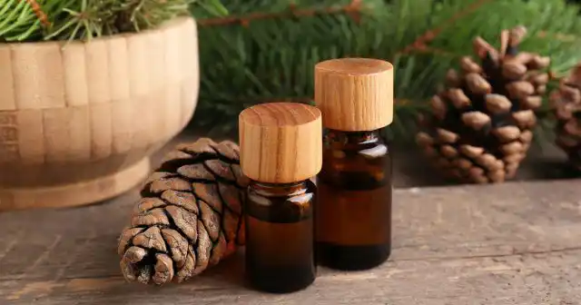 Большинство народных средств рассчитано на то, чтобы осложнить жизнь муравьям или, по возможности, уничтожить часть фуражиров