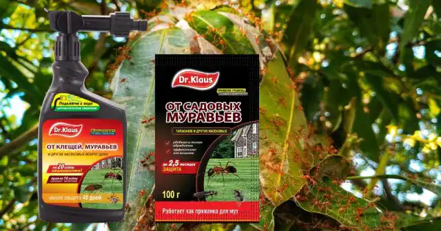 Газоны, дорожки, участки возле домов и других построек можно обработать средством Dr.Klaus с эжектором в литровой канистре.
