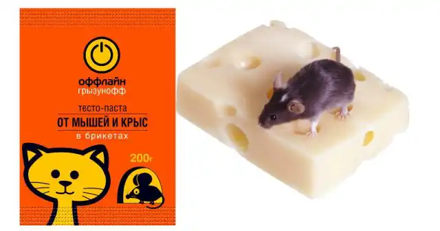 Тесто-сырными брикетами Оффлайн проще охватить большие площади, организовав сразу несколько кормовых точек для вредителей.