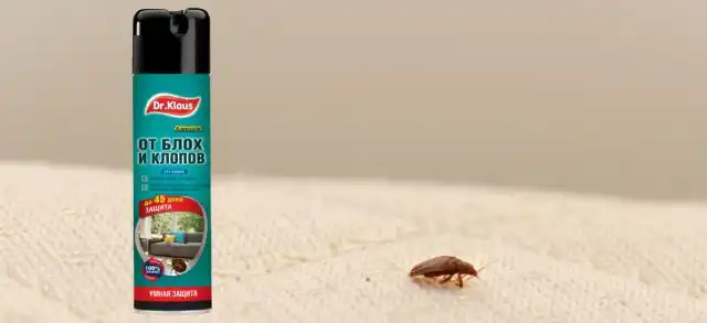 И в завершение всего, проводится обработка от клопов инсектицидным средством – аэрозолем Dr.Klaus.