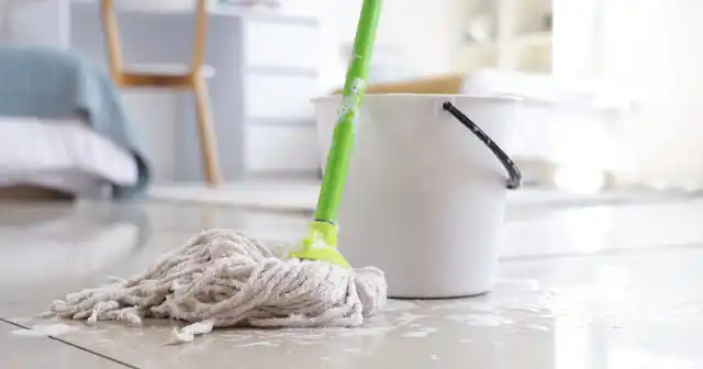 Конечно, более сильное действие оказывает всевозможная бытовая химия: уксус, хлор, керосин, нашатырь.