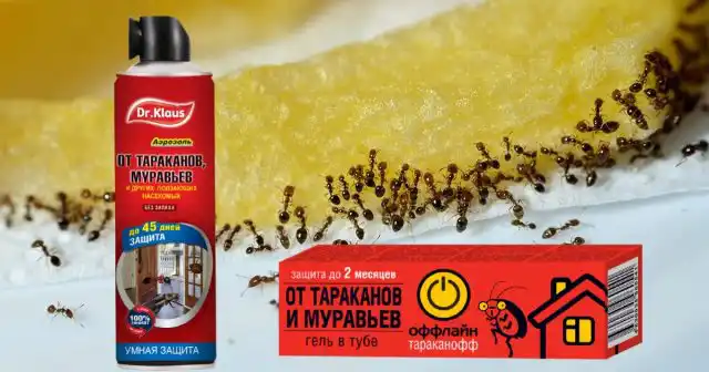 Более эффективны аэрозоли длительного действия, как Dr.Klaus от тараканов и муравьёв.