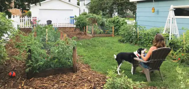 Если питомец побежит к вам строго по дорожкам, обязательно похвалите его и дайте ему лакомство. Повторите урок несколько раз.