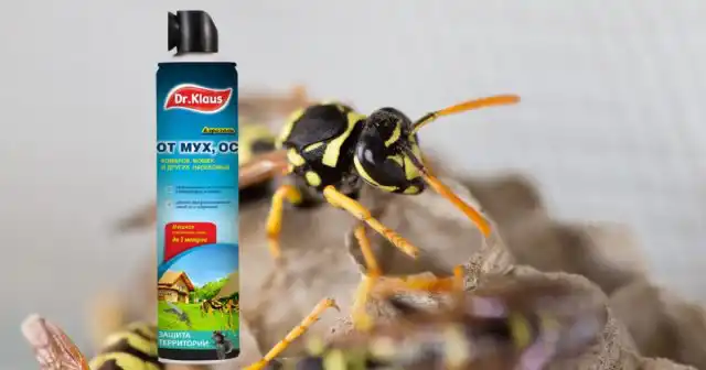 Там, где гнездо находится на расстоянии «вытянутой руки», удобен аэрозоль в баллоне Dr.Klaus.
