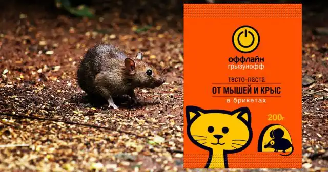 Например, в брикеты Оффлайн входят сразу тесто, сыр, подсолнечное масло и ваниль. От такого угощения крысам отказаться очень сложно.