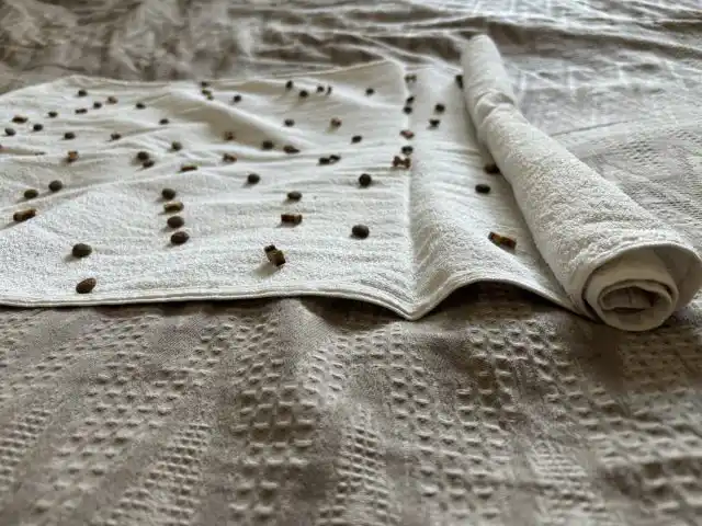 Гранулы корма распределите более-менее равномерно, чтоб на каждой части полотенца было угощение.