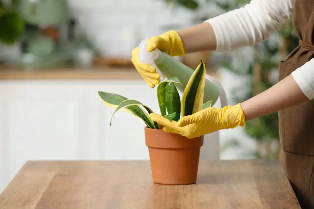 обробка акарицидом