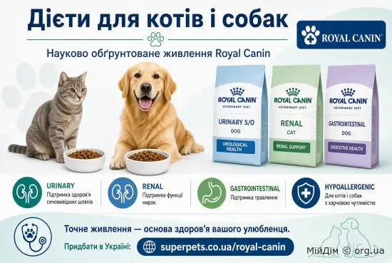 Дієти для котів і собак на основі корму Royal Canin