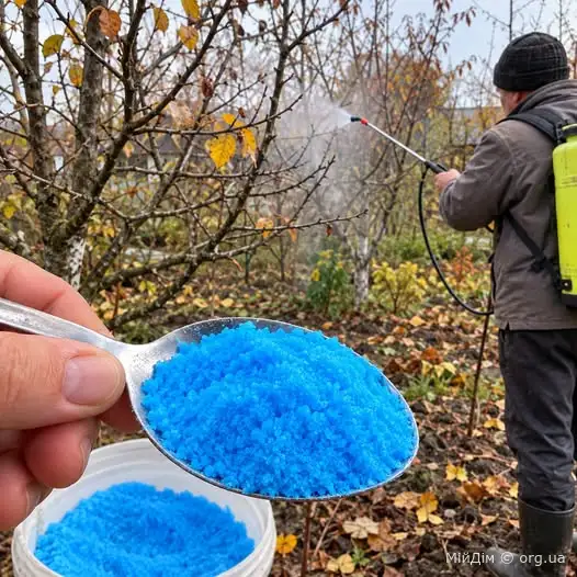 Обробіть восени дерева Залізним купоросом